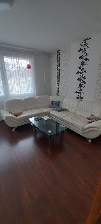 Apartman Železná Ruda Kültér fotó